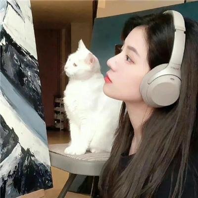谜之坠落